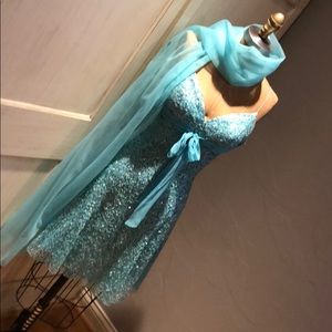 Cache’ Designer Sequence Dress